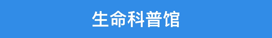 首页短横幅